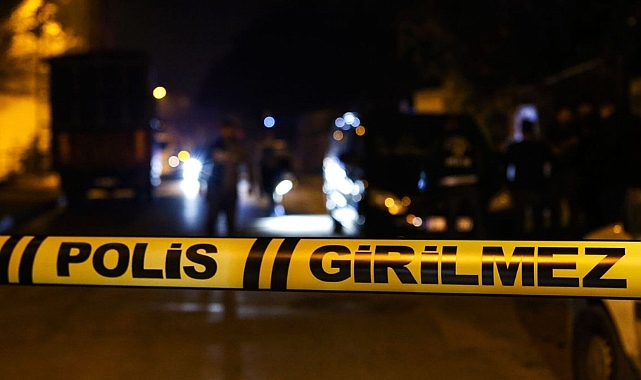 D-100'de Korkunç Kaza: Yol Kenarında Bekleyen Yayaya Çarptı
