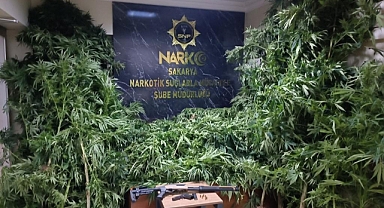 Emniyet Haftalık Uyuşturucu Bilançosunu Açıkladı: 100 Gözaltı