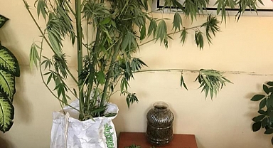 Emniyetten Uyuşturucu Operasyonu: 5 Gözaltı