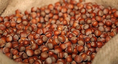 Fındık İhracatında Dev Rakamlara Ulaşıldı