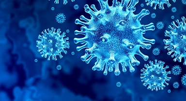 Haftalık Koronavirüs Tablosu Açıklandı