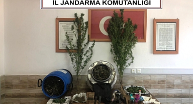 Jandarma'dan Şok Operasyon: Çok Sayıda Uyuşturucu Maddesi Ele Geçirildi