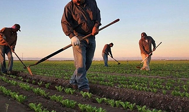 Milyonlarca Çiftçiyi Yakından İlgilendiren Haber: E- Devlet Üzerinden Başvuru Yapılabilecek