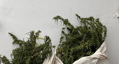 Sakarya'da Uyuşturucu Operasyonu: 1 Gözaltı