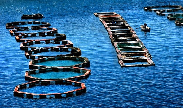 Su Avcılığına Yeni Düzenlemeler Getirildi