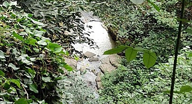 Vatandaşlar Fındık Tozlarının Dereye Atılmasından Şikayetçi