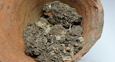 1600 Yıllık Balık Kalıntısı Bulundu