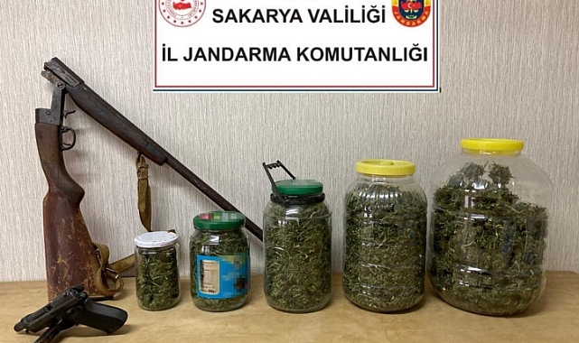 Akyazı'da Uyuşturucu Operasyonu: 1 Gözaltı