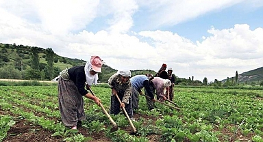 Çiftçilere Müjde! Ödemeler Hesaplara Yattı