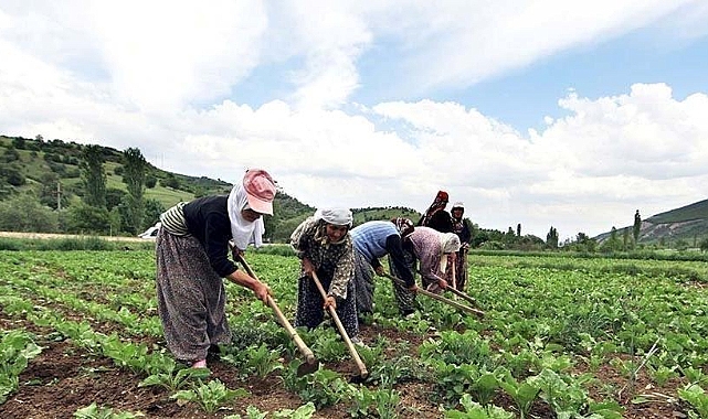 Çiftçilere Müjde! Ödemeler Hesaplara Yattı