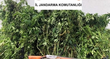 Geyve'de Zehir Operasyonu: 1 Gözaltı