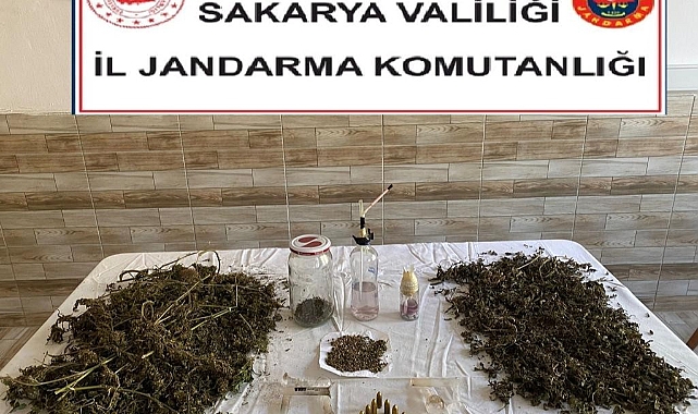 Karasu'da Zehir Operasyonu: 1 Gözaltı