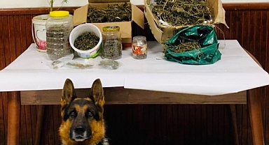 Sapanca'da Zehir Operasyonu: 1 Gözaltı