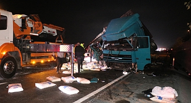 Tır Kamyona Çarptı Ortalık Savaş Alanına Döndü: Ölü ve Yaralılar Var