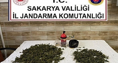 Uyuşturucu Operasyonu: 1 Gözaltı