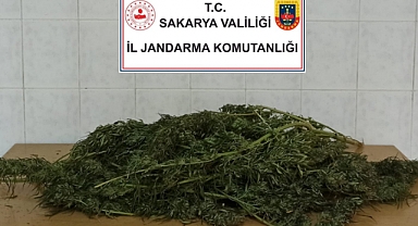 Uyuşturucu Operasyonu: 1 Gözaltı