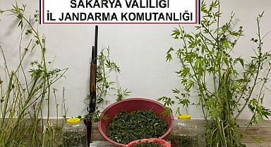 Uyuşturucu Taciri Enselendi: 1 Gözaltı