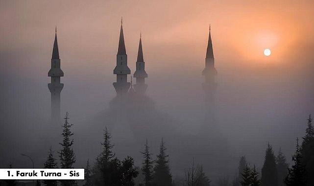 13'üncüsü Gerçekleşen Fotoğraf Yarışmasının Sonuçları Açıklandı