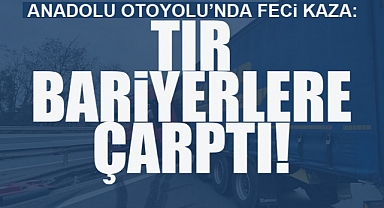 Anadolu Otoyolu'nda Feci Kaza: 1 Yaralı