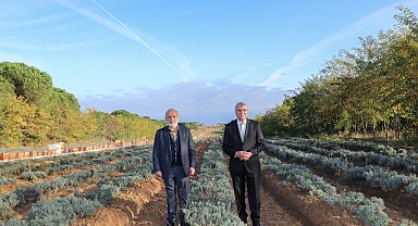 Cumhurbaşkanı Başdanışmanı Fahri Kasırga Sakarya'nın Güzelliklerini Gezdi