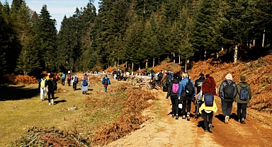 Doğa Tutkunları Dikmen Yaylasına Yürüdü