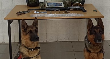 Jandarma Zehir Tacirlerine Göz Açtırmıyor