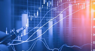 OECD’den Türkiye'yi Yakından İlgilendiren Açıklama