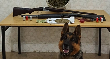 Sakarya'da Esrar Operasyonu: 2 Gözaltı