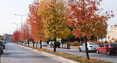 Caddelerde Görsel Şölen