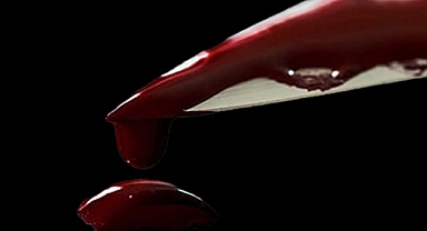 Sapanca'da Kanlı Akşam! Tartıştığı Kişiyi Bacağından Bıçakladı