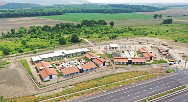 Sokak Hayvanları Rehabilitasyon Merkezi'nde Tedavi İşlemleri Başladı