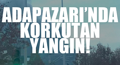 Adapazarı'nda Korkutan Yangın