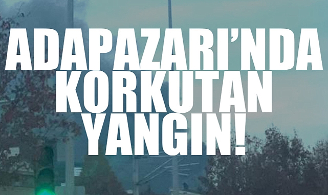 Adapazarı'nda Korkutan Yangın
