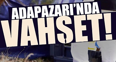 Adapazarı'nda Vahşet! Adamı Boynundan Bıçakladı