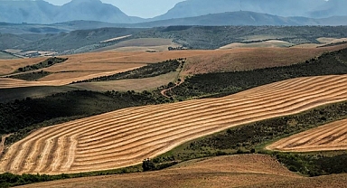 Hazine'ye ait 2/B ve Tarım Arazileri Satışında Son başvurular 31 Aralık