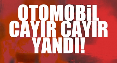 Erenler'de Panik Anları: Otomobil Cayır Cayır Yandı