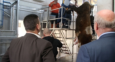 Mezbaha ve Hayvan Borsası Projesi’nde İlk Kesim Gerçekleşti