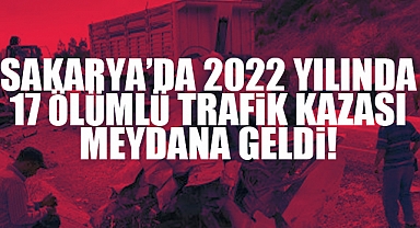 Sakarya'da 2022 Yılında 17 Ölümlü Trafik Kazası Meydana Geldi