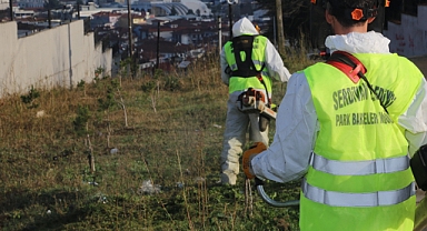 Serdivan'da Temizlik Çalışmaları Devam Ediyor