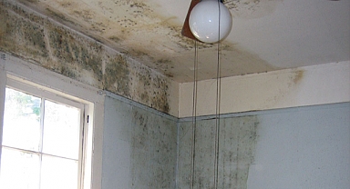 Uzmanlar Uyardı: Sağlığımız Tehlike Altında