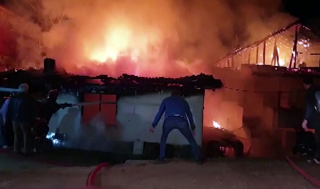 Akyazı'da Yangın Faciası! Felçli Kadın Hayatını Kaybetti
