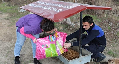 Arifiye Belediyesi Sokak Hayvanlarının Yanında