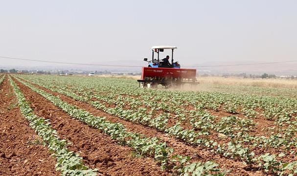 Bakan Kirişçi'den Genç Çiftçilere Müjde: Hibe Desteği 250 Bin Liraya Yükseltildi