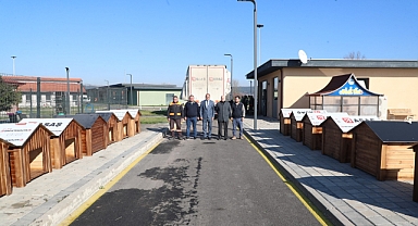 Büyükşehir Sokak Hayvanları İçin Çalışmalarını Sürdürüyor