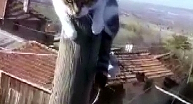 Elektrik Direğinde Mahsur Kalan Kediyi Kurtardılar