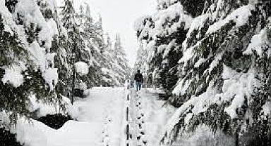 Kar Ne Zaman Yağacak! Meteoroloji'den Uyarılar Peş Peşe Geldi