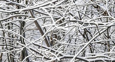 Meteoroloji Uyardı: Kutup Soğukları Geliyor!