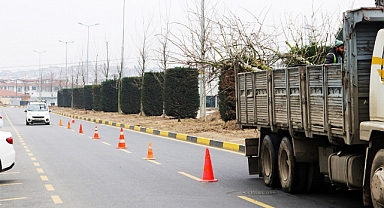 Şehrin İşlek Caddeleri Estetik Görünüme Kavuştu