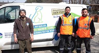 Büyükşehir Veteriner Ekibi Antakya’da Can Dostlarının Yaralarını Sarıyor