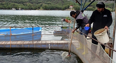 Deprem Balık İhracatını da Vurdu: Üretim 7 Milyon Ton Azalacak